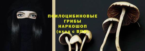 спиды Алексин