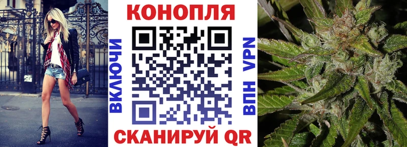 цены наркотик  Домодедово  Каннабис сатива 